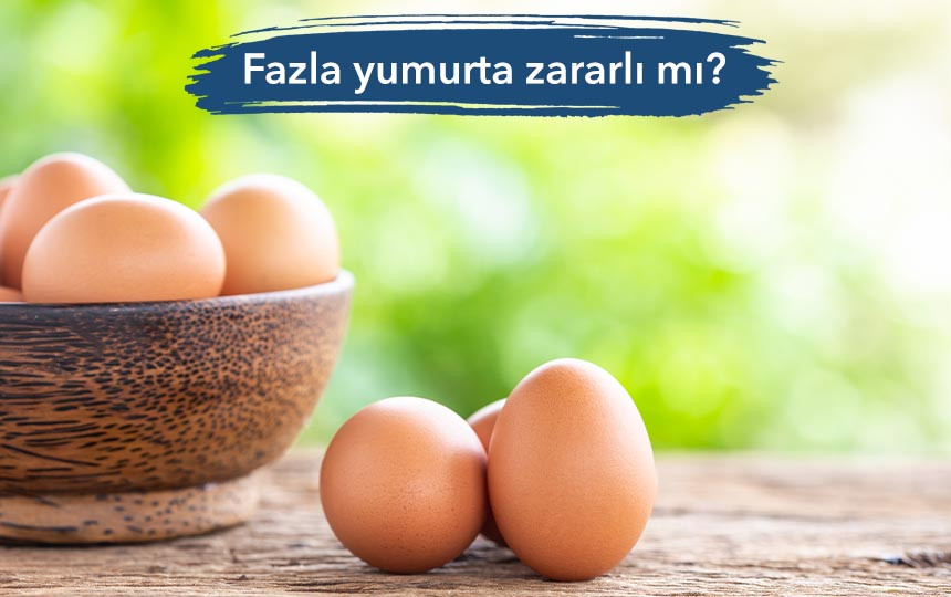 Fazla yumurta zararlı mı?