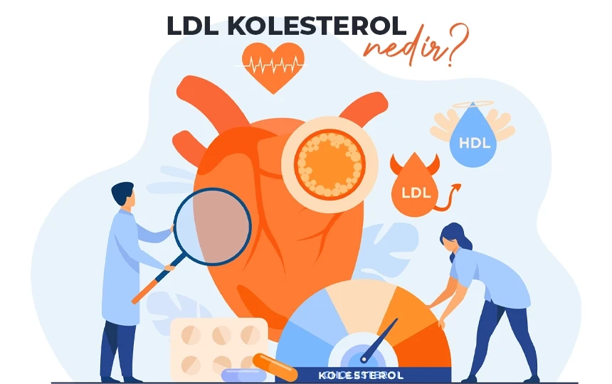 LDL Kolesterol Nedir?